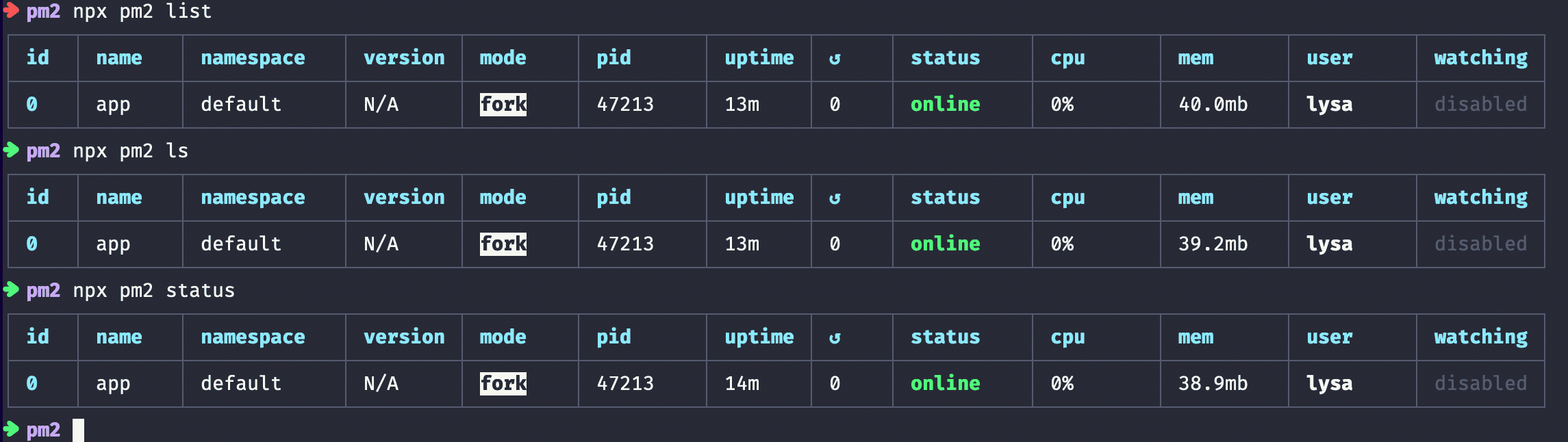 pm2-list-processes